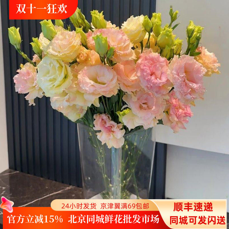新鲜绿色龙胆洋桔梗鲜花10枝