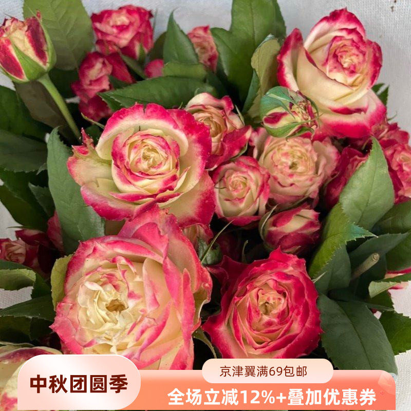 新鲜苹果杰克多头玫瑰北京速递