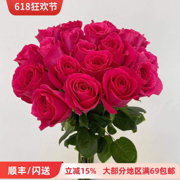 A级直批弗洛伊德玫瑰鲜切花 大桃红花朵 家居水瓶插花 同城闪送