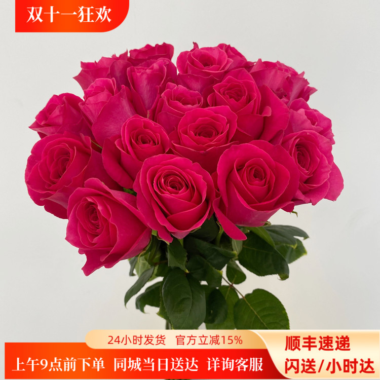 A级弗洛伊德玫瑰鲜切花同城速递