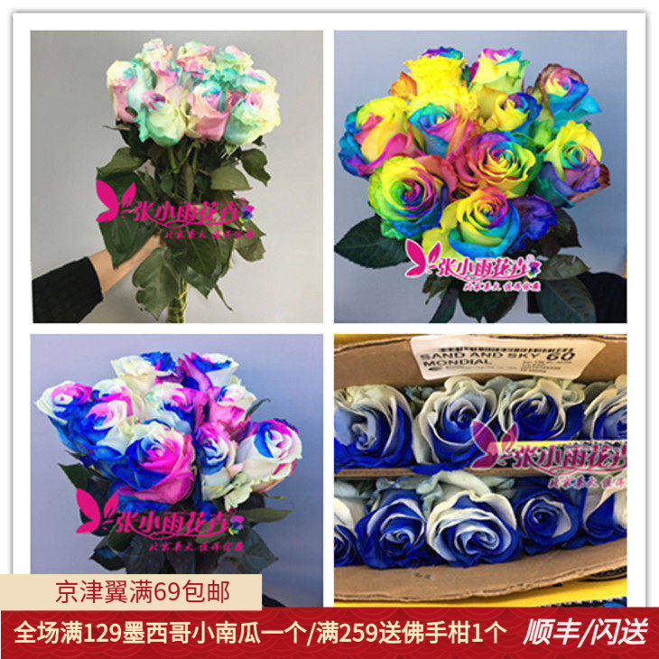 情人节玫瑰鲜花多款颜色选择10枝