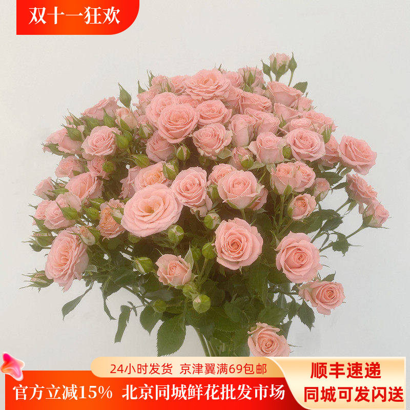 北京直达露露蔷薇鲜切花10枝