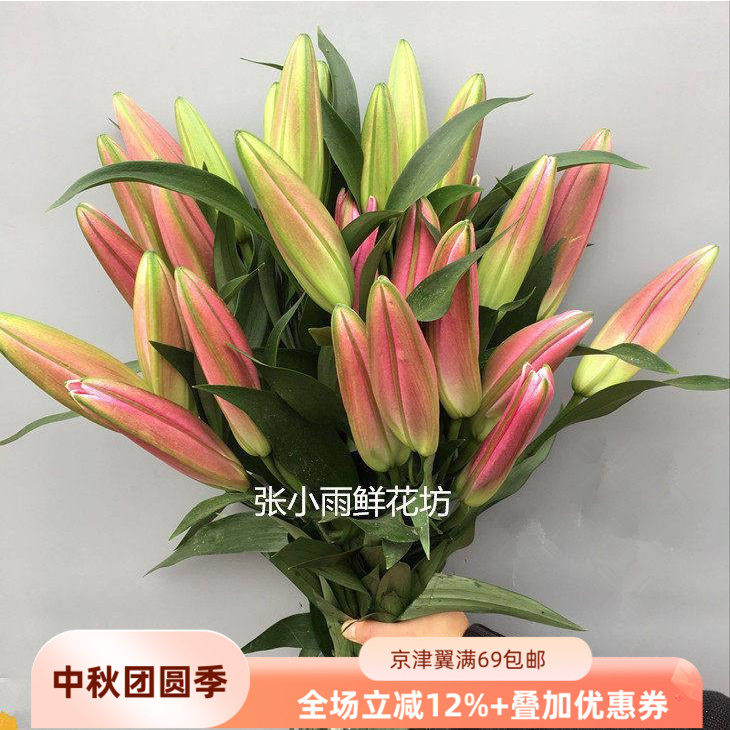 罗宾娜红百合含苞10枝北京速递