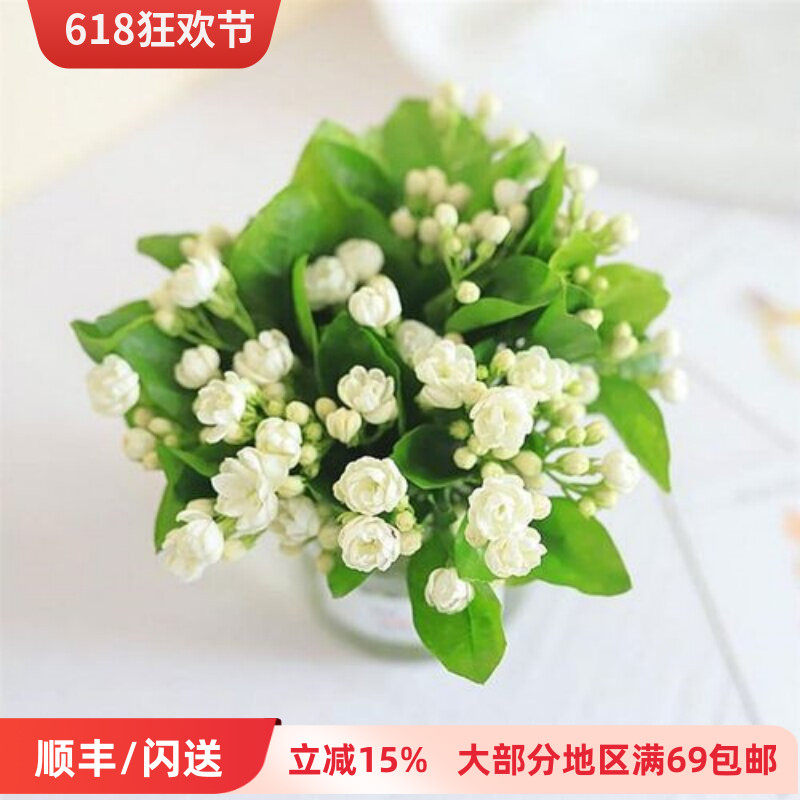 应季新鲜上市 茉莉花鲜切花 清新醒脑鲜花 不可抗拒香味 同城直送