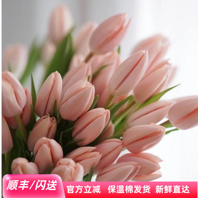 法郁水蜜桃郁金香 一扎10枝欧式轻奢日常瓶插 花束礼盒婚礼手捧花,鲜花速递/花卉仿真/绿植园艺,花材,淘宝优惠券,粉丝福利购,淘宝优惠卷