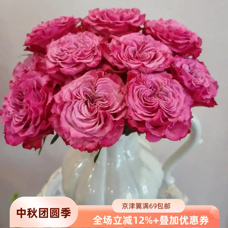长相思玫瑰鲜切花北京同城速递
