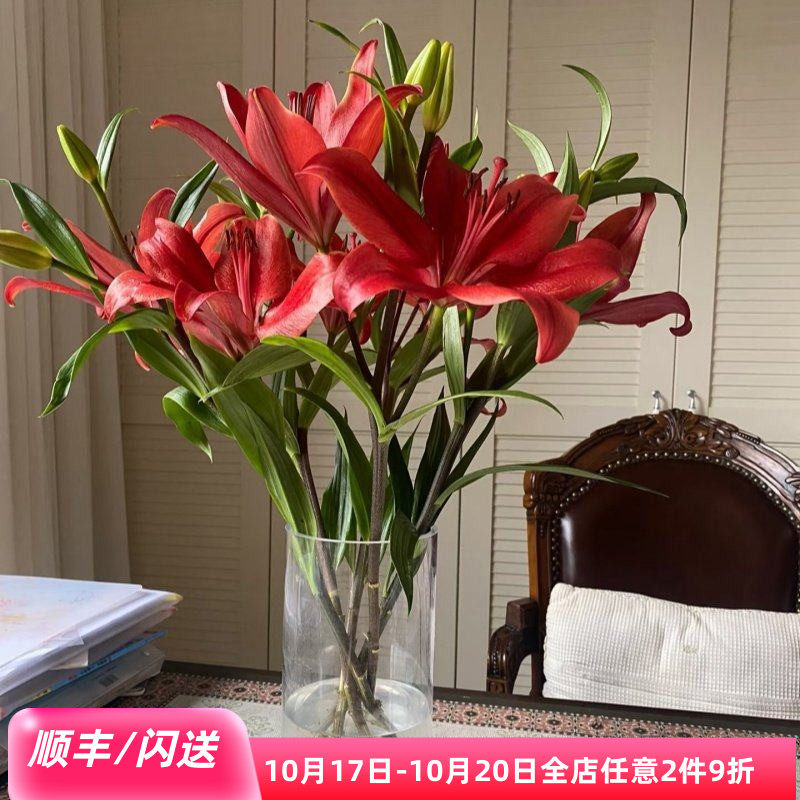 亚百暗红色花朵10枝多头鲜切花