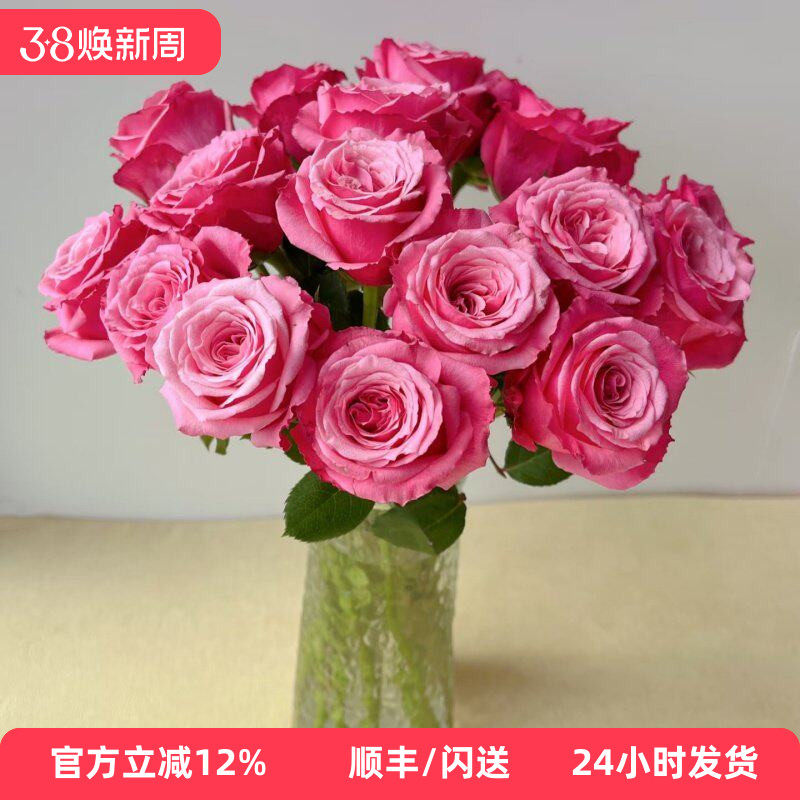 新品 小红梅玫瑰 日常瓶插 新鲜大朵喜庆 A级 北京花卉市场直批