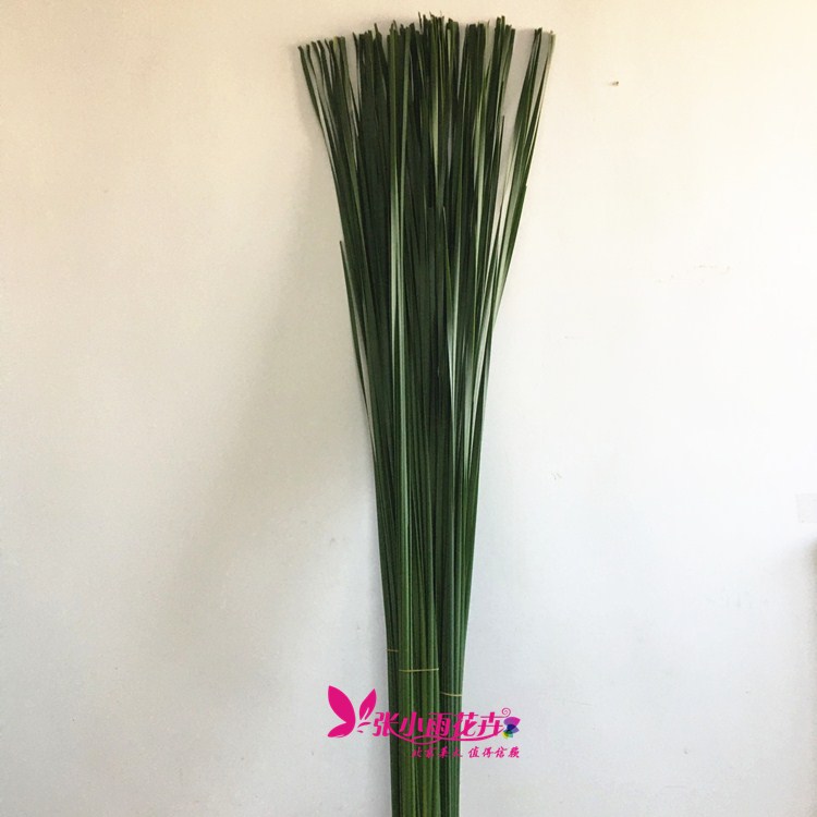 花艺插花蒲棒叶绿植背景装饰叶材婚庆场景布置鲜花点缀同城速递