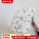 雪白花瓣DIY花艺插花 优质特A级 大白蝴蝶兰鲜切花 北京鲜花速递