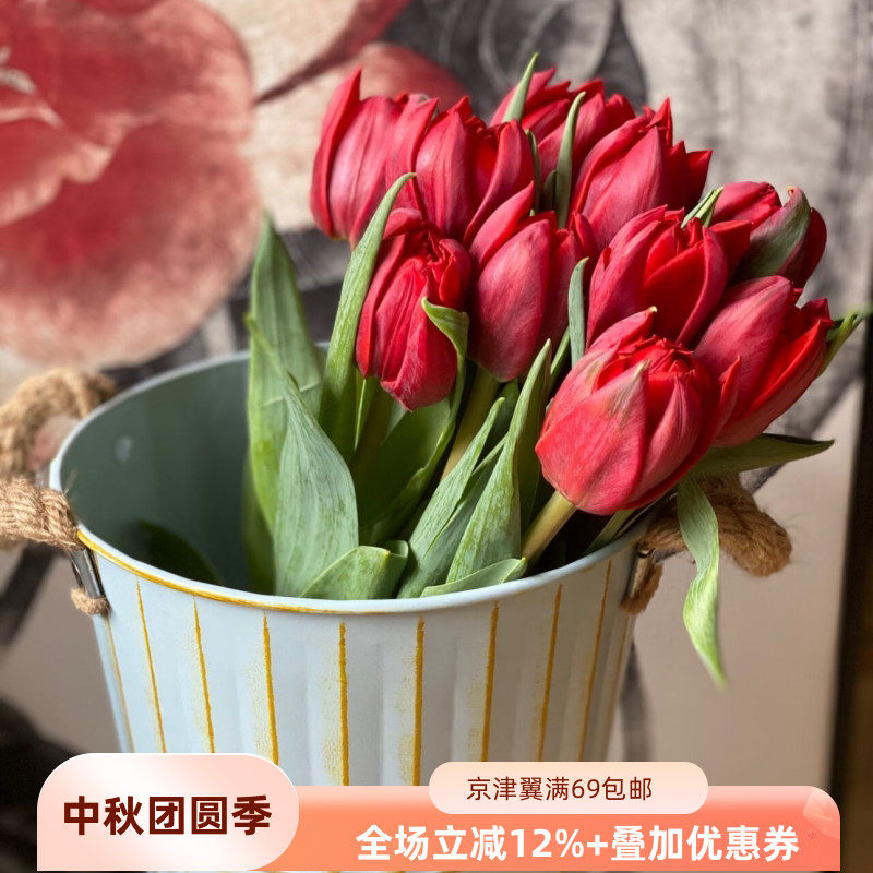 进口红色郁金香重瓣郁金香鲜切花高贵类花卉北京同城速递10朵