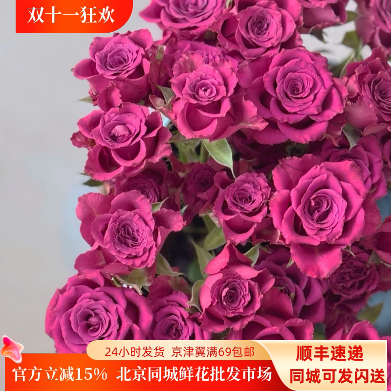 新鲜蓝莓玫瑰鲜切花10枝同城速递