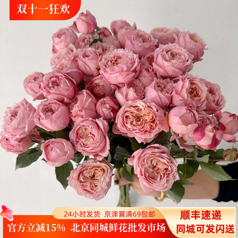 朱丽叶塔鲜花速递多头玫瑰家用