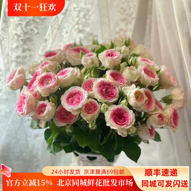 午夜魔法多头小玫瑰鲜切花顺丰