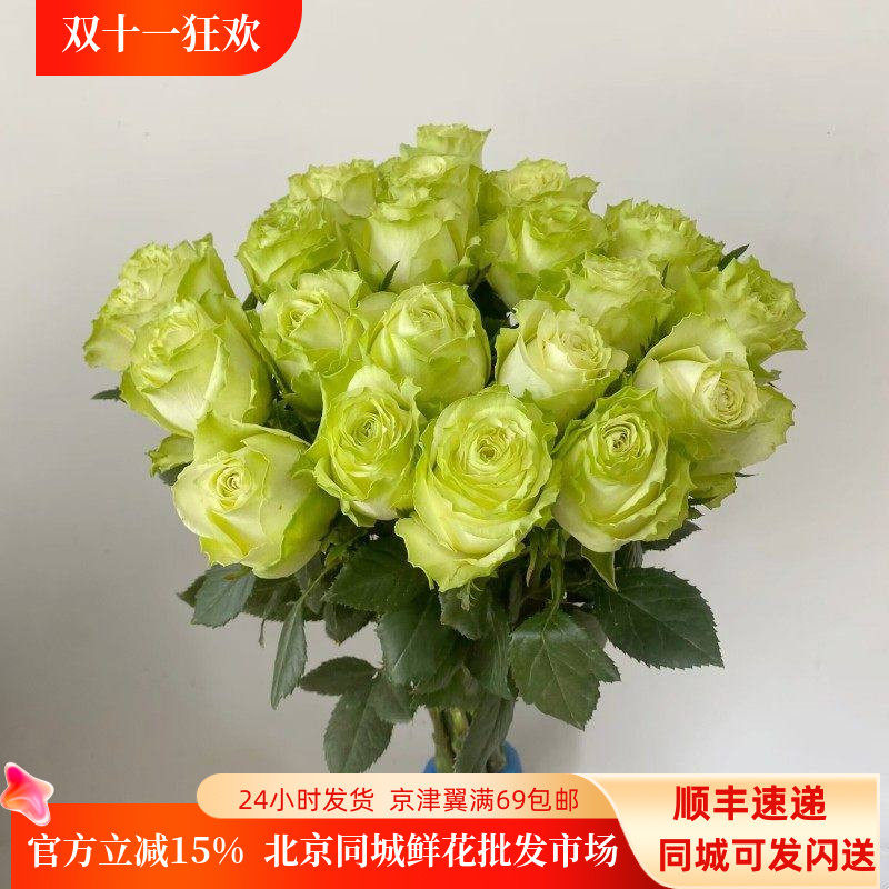 19朵薄荷茶玫瑰小乔玫瑰插花