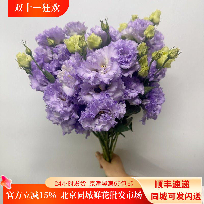 紫色波浪洋桔梗龙胆花多色选择