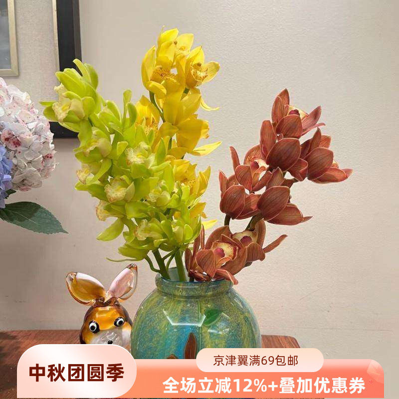 大花蕙兰鲜切花室内水培插花