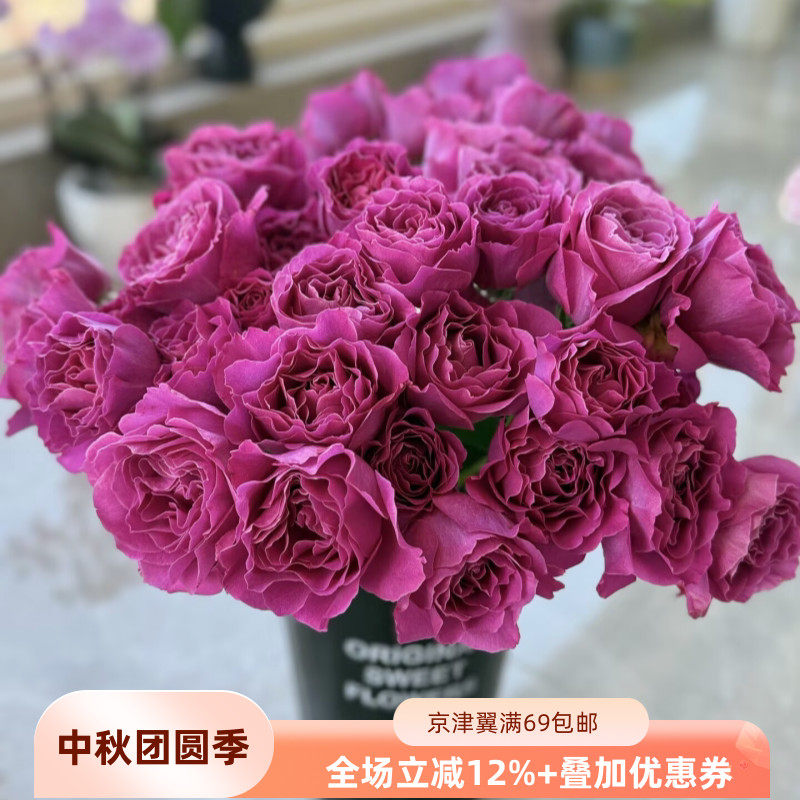 多头玫瑰鲜切花10枝顺丰闪送