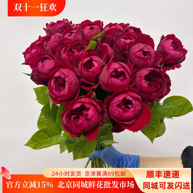奥斯汀芍药红玫瑰北京鲜花速递