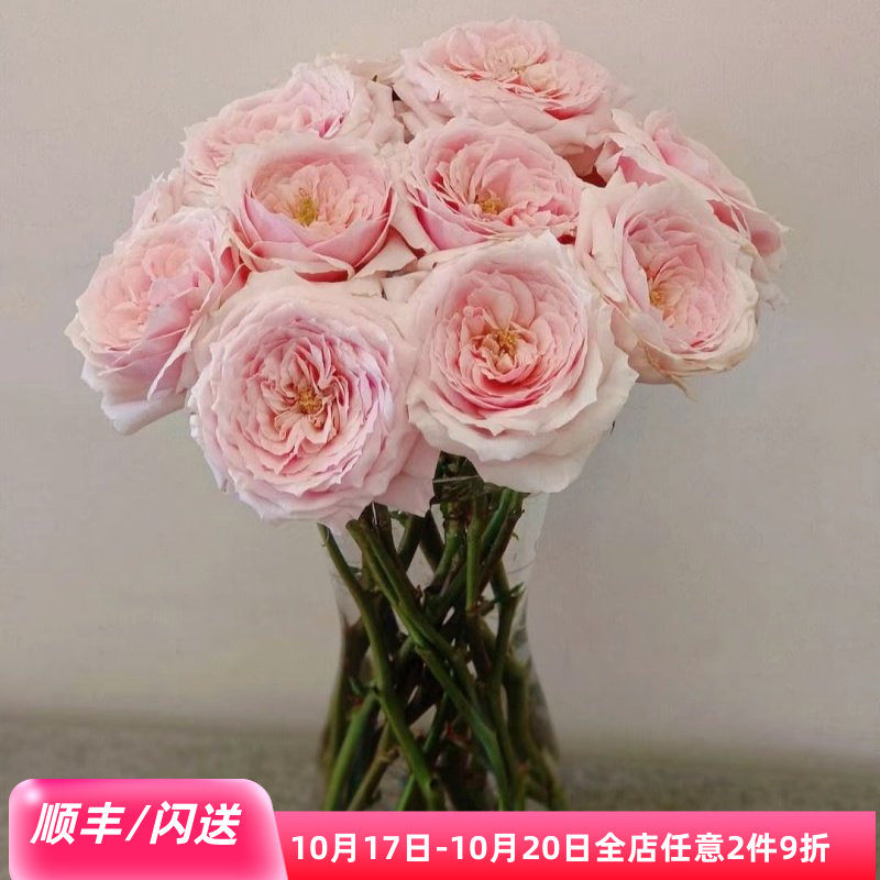 奥斯汀玫瑰鲜切花同城速递