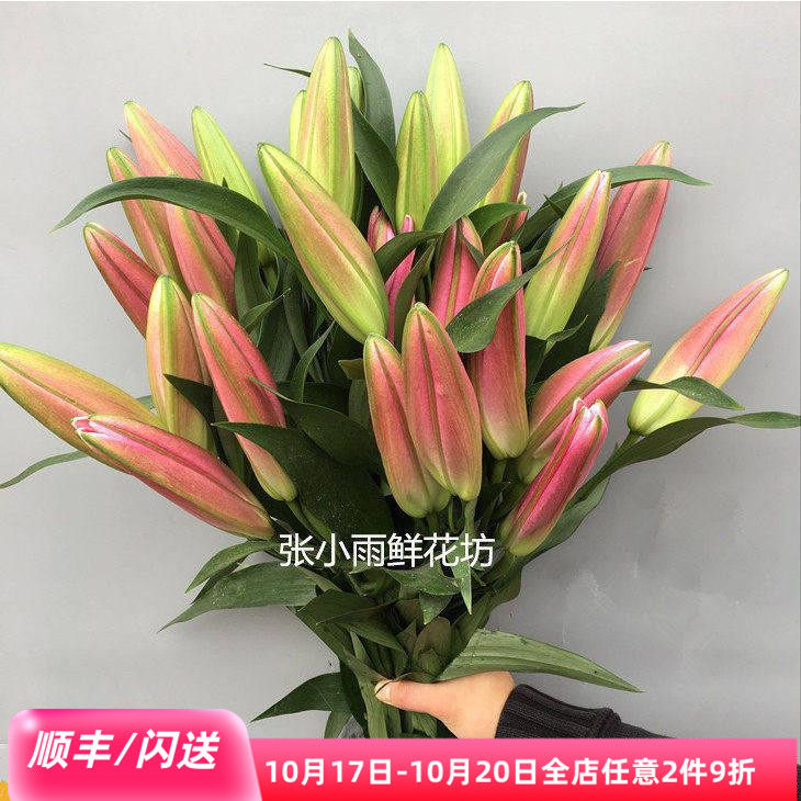 罗宾娜红百合含苞10枝北京速递