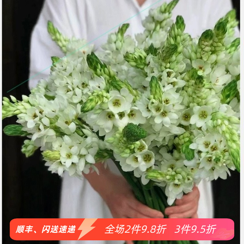 圣心百合 洁白花朵 花苞绽放 养眼醒目花卉 家居水瓶插花同城速递