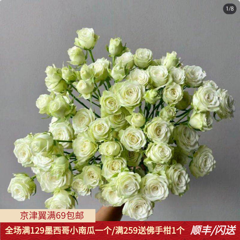 繁星婚礼花材女神节淡淡绿色闪送