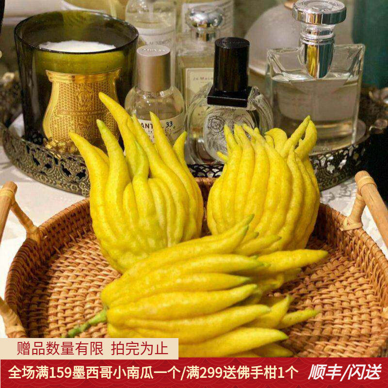 佛手柑鲜果室内香薰礼佛贡品