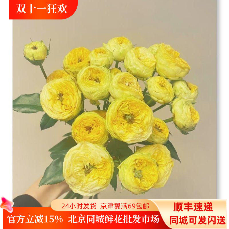 金色潮流多头玫瑰鲜花10枝
