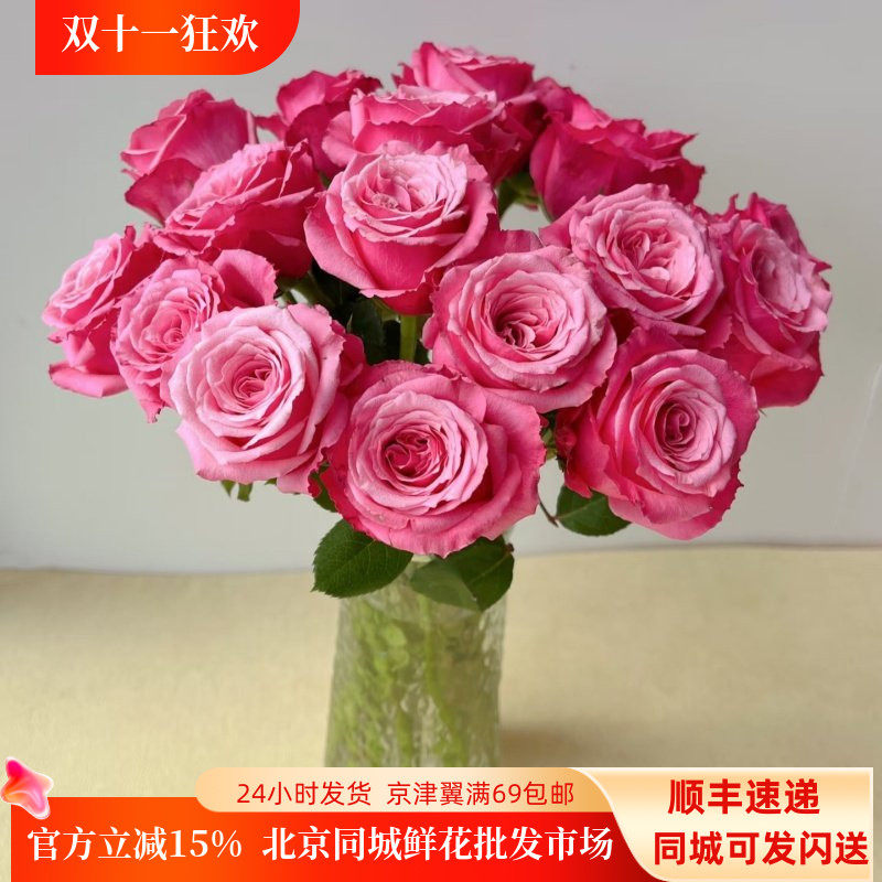 小红梅玫瑰新鲜大朵A级瓶插轻奢