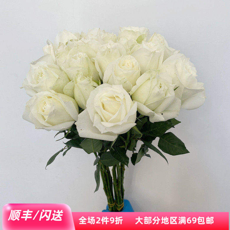 新鲜洁白玫瑰大头白色鲜花坦尼克