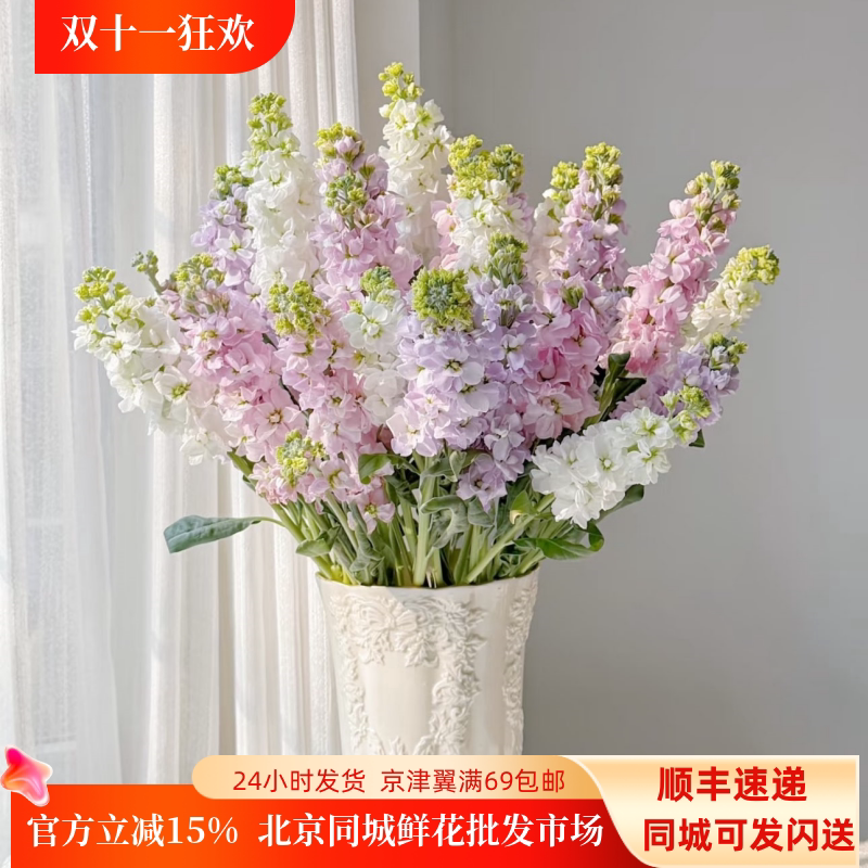 鲜花北京同城 紫罗兰鲜切花香味型花卉办公室婚庆婚礼插花速递