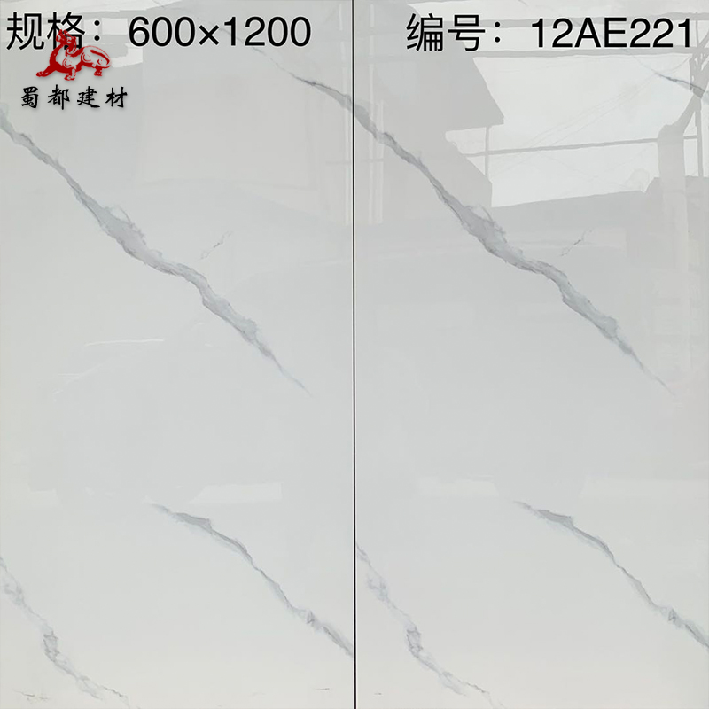 成都仓600x1200通体大理石瓷砖客厅亮光地砖轻奢工程卫生间墙面砖