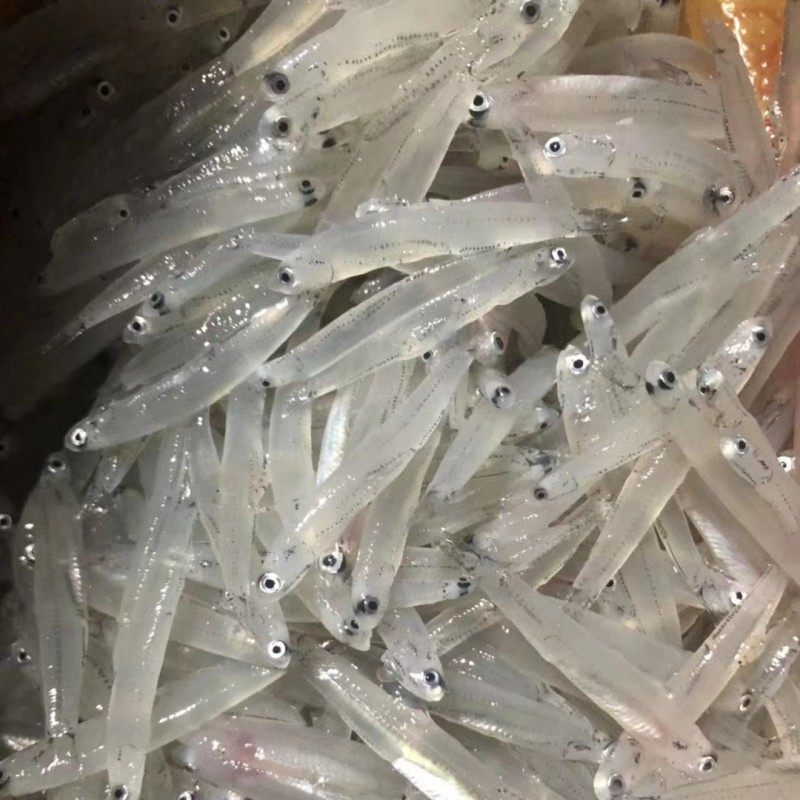 海捕新鲜海银鱼丁香鱼面条鱼海鲜孩子宝宝补钙辅食补充营养长高