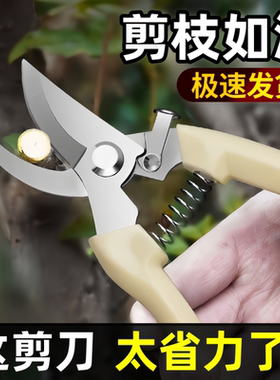 不锈钢树枝修枝剪采摘水果花木剪园林果树花卉枝嫁接园艺剪刀工具