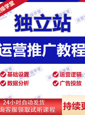 独立站外贸自建站运营教程跨境电商搭建课程开店培训视频