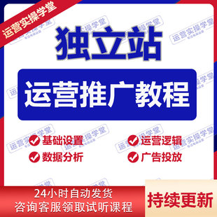 独立站外贸自建站运营教程跨境电商搭建课程开店培训视频