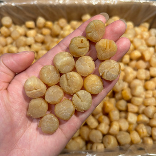 300头直孔元贝500克鲜活大元贝干扇贝瑶柱干贝无盐干货300头