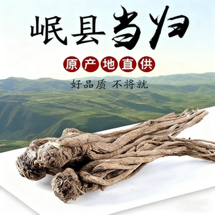 岷县全当归大条500g纯天然野生原产地中药材甘肃泡水正品 无硫磺