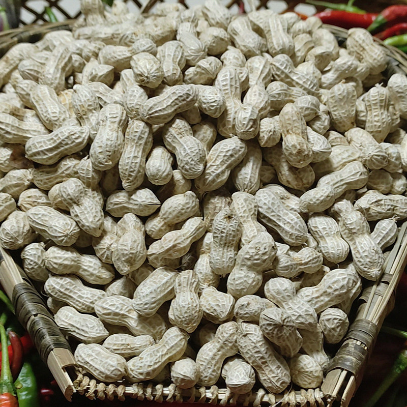 湘西本地小花生带壳生花生自然晒干新货湖南农家自种当季新鲜花生,水产肉类/新鲜蔬果/熟食,新鲜花生,淘宝优惠券,粉丝福利购,淘宝优惠卷