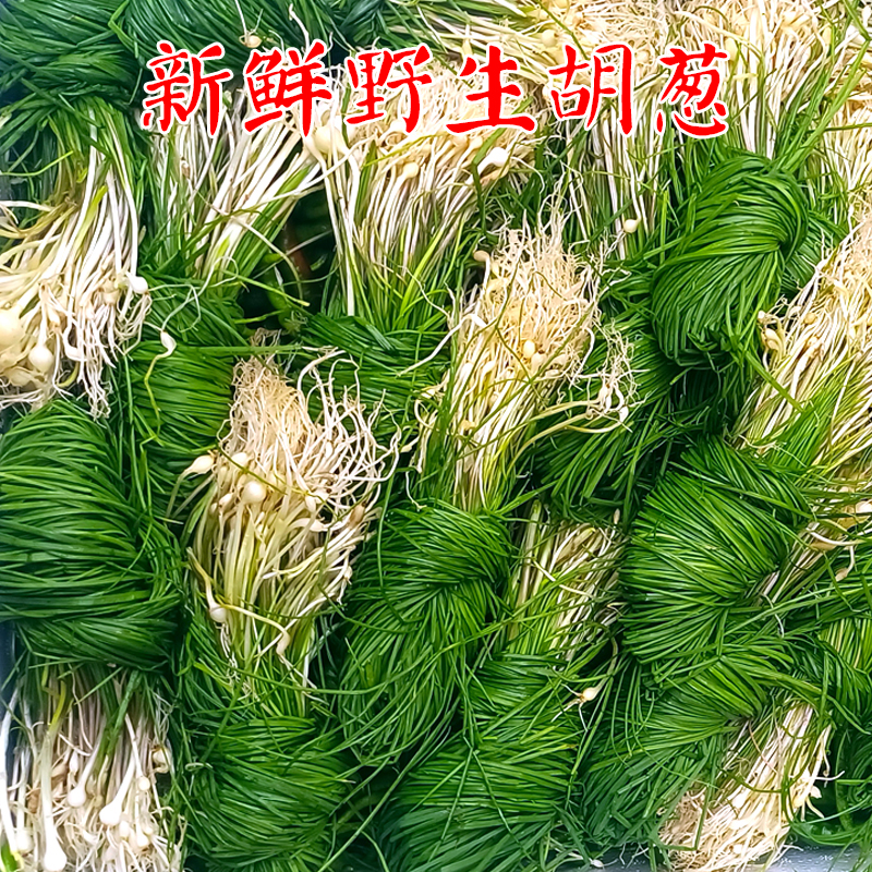 湘西胡葱现挖野葱包邮