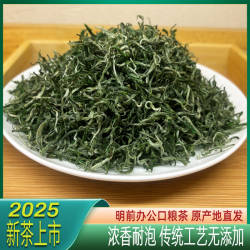 保靖黄金茶2025新茶叶湘西绿茶口粮茶明前浓香250克散装自己喝