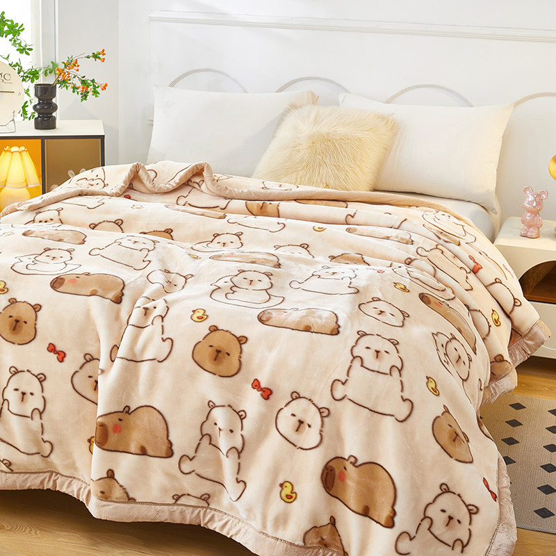 青少年学生宿舍毛毯加厚双层盖毯可爱卡通拉舍尔绒毯子冬季保暖