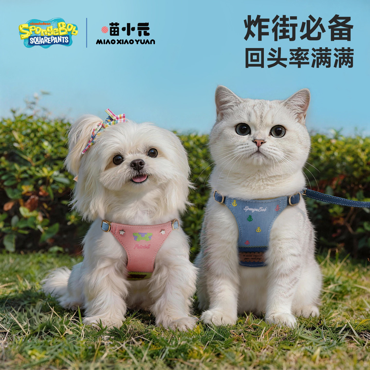 喵小元|海绵宝宝联名胸背套装猫咪牵引绳背心防挣脱外出专用狗绳