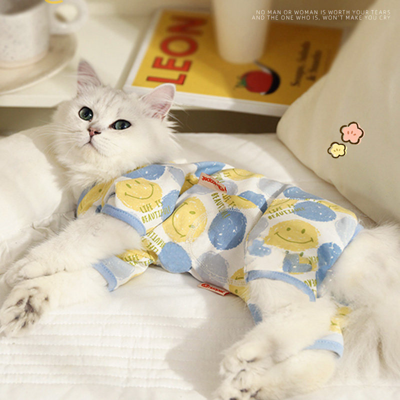 猫咪衣服秋冬防掉毛布偶秋季宠物小猫四脚断奶猫猫护肚衣夏季秋装高性价比高么？