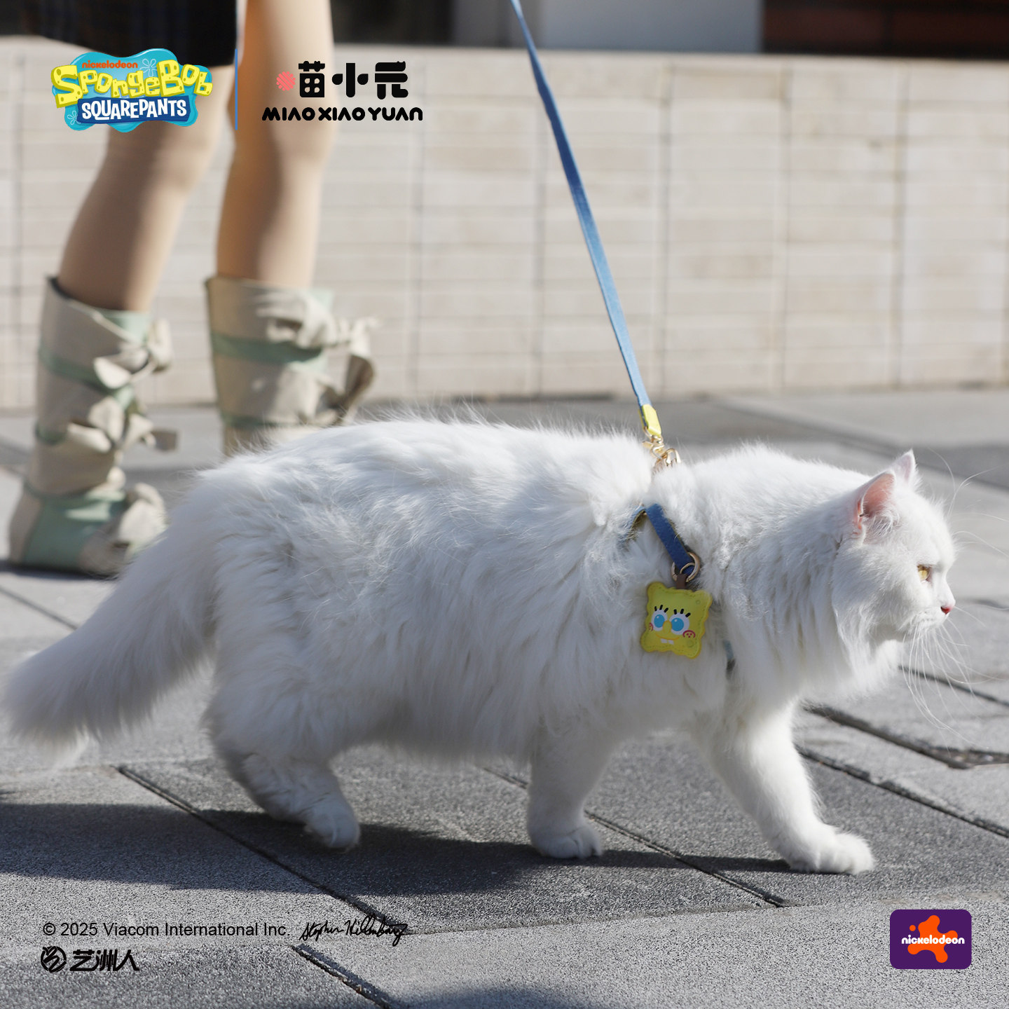 喵小元|海绵宝宝联名胸背套装猫咪牵引绳背心防挣脱外出专用狗绳,宠物/宠物食品及用品,猫牵引绳,淘宝优惠券,粉丝福利购,淘宝优惠卷