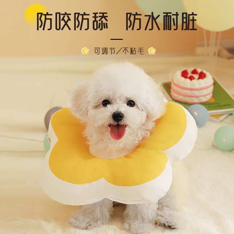 狗狗伊丽莎白圈宠物项圈伊利沙白头套防舔咬软狗脖子围脖脖套脖圈