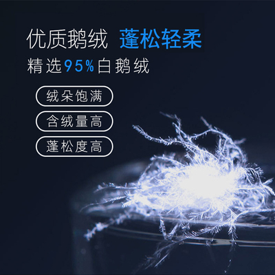 散装羽绒 羽绒被羽绒服填充物95大朵白鹅绒白鸭绒原料