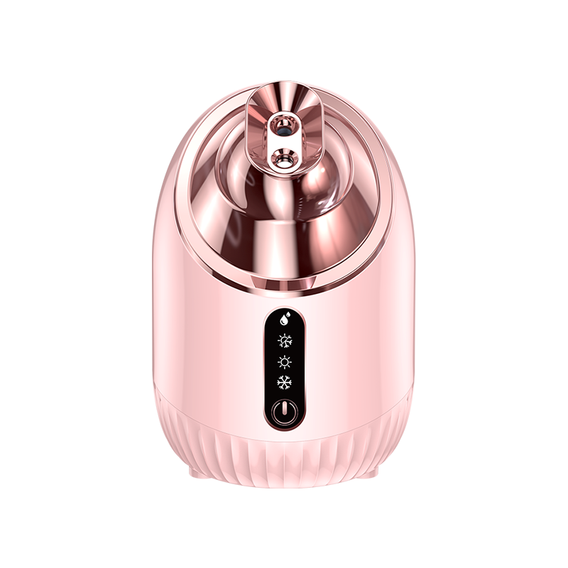 蒸脸器家用冷热双喷蒸脸仪纳米补水喷雾器面脸部蒸汽机美容院专用