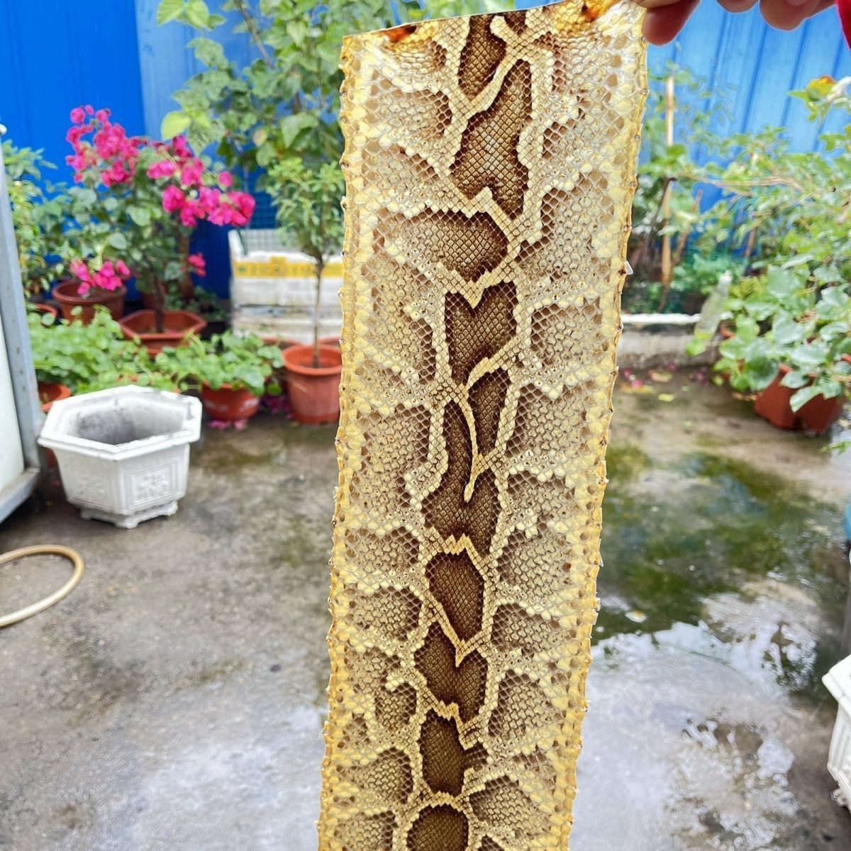 花鼓大筒整条薄蟒皮高胡越胡乐器配件尾皮蟒皮维修花鼓大筒琴皮,